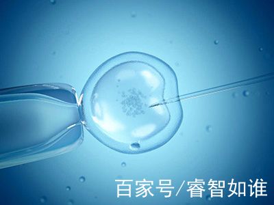 正规供卵代生子